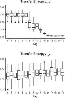 Transfer Entropy Modeling of Newborn Cardiorespiratory Regulation